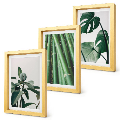 Lot de 3 tableaux Tiges de bambou, plante d'intérieur et feuilles de monstera