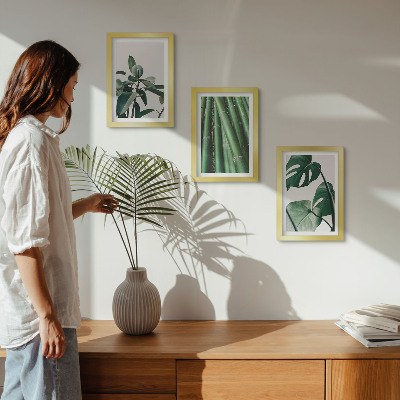 Lot de 3 tableaux Tiges de bambou, plante d'intérieur et feuilles de monstera