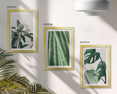 Lot de 3 tableaux Tiges de bambou, plante d'intérieur et feuilles de monstera