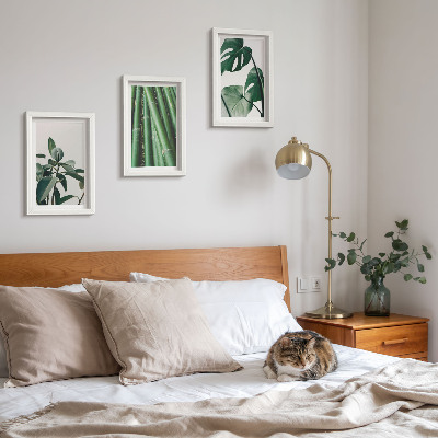 Lot de 3 tableaux Tiges de bambou, plante d'intérieur et feuilles de monstera