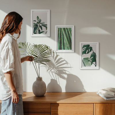 Lot de 3 tableaux Tiges de bambou, plante d'intérieur et feuilles de monstera