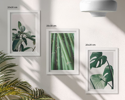 Lot de 3 tableaux Tiges de bambou, plante d'intérieur et feuilles de monstera