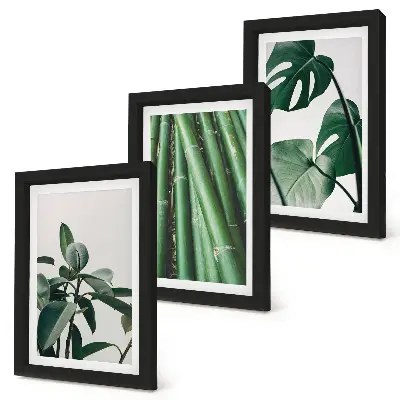 Lot de 3 tableaux motif tiges de bambou, plante d'intérieur et feuilles de monstera