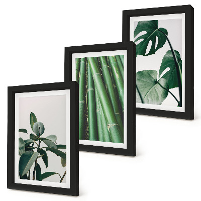 Lot de 3 tableaux Tiges de bambou, plante d'intérieur et feuilles de monstera