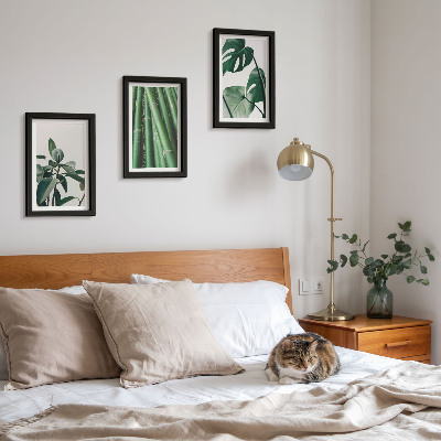 Lot de 3 tableaux Tiges de bambou, plante d'intérieur et feuilles de monstera