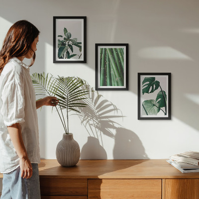 Lot de 3 tableaux Tiges de bambou, plante d'intérieur et feuilles de monstera