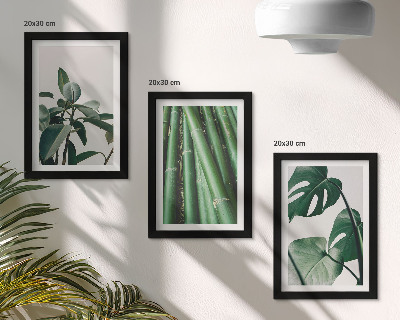 Lot de 3 tableaux Tiges de bambou, plante d'intérieur et feuilles de monstera