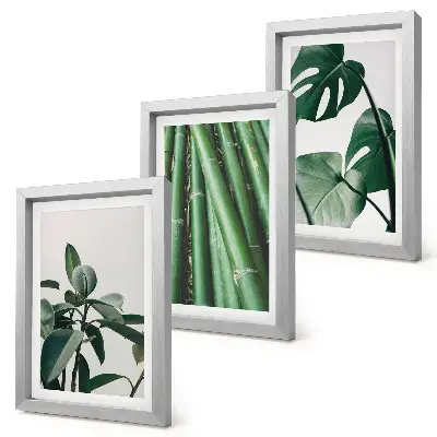 Lot de 3 tableaux motif tiges de bambou, plante d'intérieur et feuilles de monstera