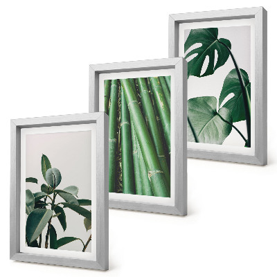 Lot de 3 tableaux Tiges de bambou, plante d'intérieur et feuilles de monstera
