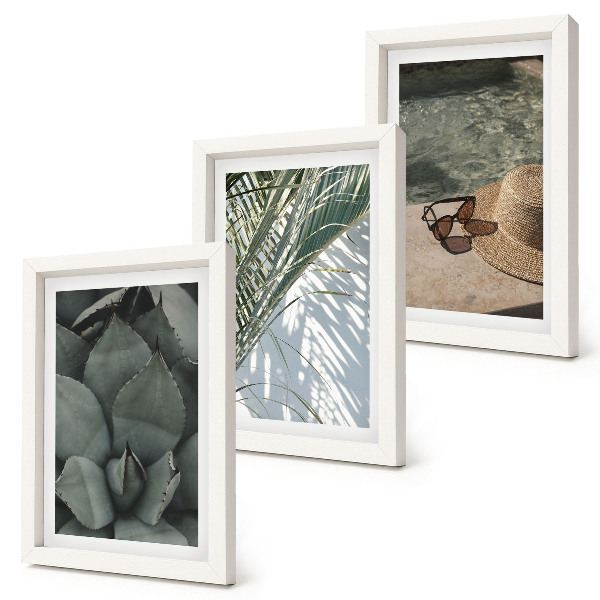 Ensemble de 3 tableaux Plantes tropicales et décorations estivales