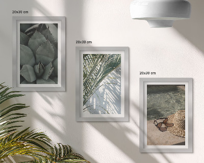 Ensemble de 3 tableaux Plantes tropicales et décorations estivales