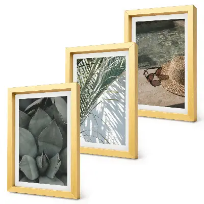 Plantes tropicales et décorations estivales ensemble de 3 tableaux