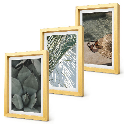 Ensemble de 3 tableaux Plantes tropicales et décorations estivales