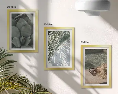 Plantes tropicales et décorations estivales ensemble de 3 tableaux