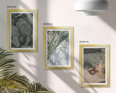 Ensemble de 3 tableaux Plantes tropicales et décorations estivales