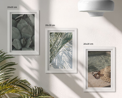 Ensemble de 3 tableaux Plantes tropicales et décorations estivales