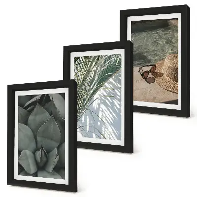 Plantes tropicales et décorations estivales ensemble de 3 tableaux