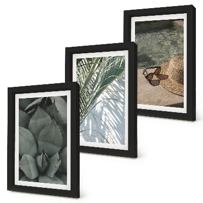 Ensemble de 3 tableaux Plantes tropicales et décorations estivales