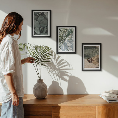 Ensemble de 3 tableaux Plantes tropicales et décorations estivales