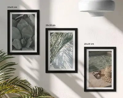 Plantes tropicales et décorations estivales ensemble de 3 tableaux