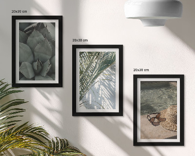 Ensemble de 3 tableaux Plantes tropicales et décorations estivales