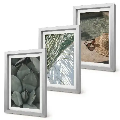 Plantes tropicales et décorations estivales ensemble de 3 tableaux