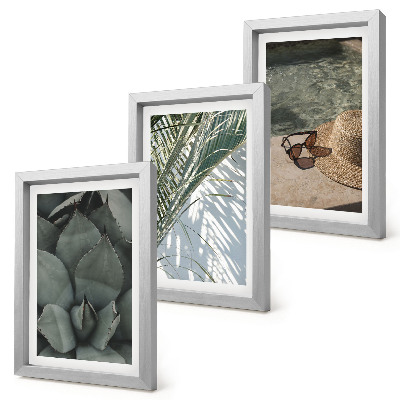 Ensemble de 3 tableaux Plantes tropicales et décorations estivales
