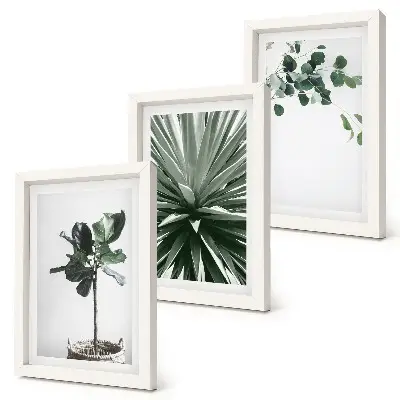 Lot de 3 tableaux plantes vertes au style minimaliste
