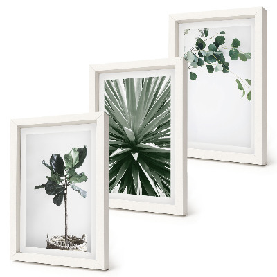 Lot de 3 tableaux Plantes vertes dans un style minimaliste