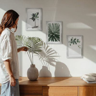 Lot de 3 tableaux Plantes vertes dans un style minimaliste