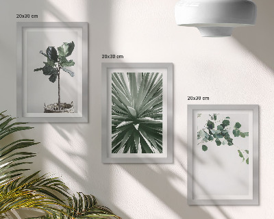 Lot de 3 tableaux Plantes vertes dans un style minimaliste