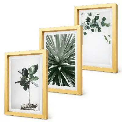 Lot de 3 tableaux plantes vertes au style minimaliste