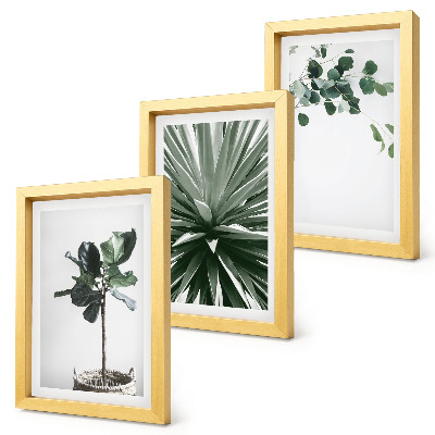Lot de 3 tableaux Plantes vertes dans un style minimaliste