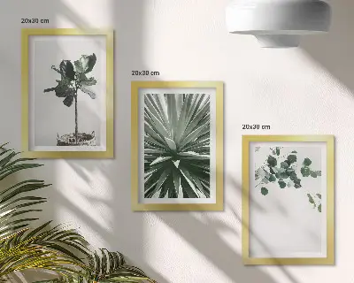 Lot de 3 tableaux plantes vertes au style minimaliste