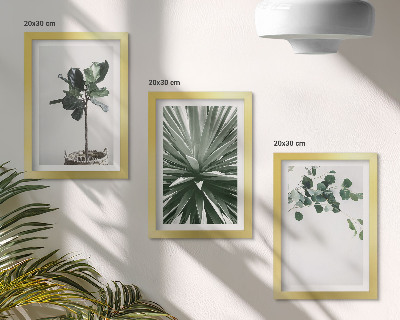 Lot de 3 tableaux Plantes vertes dans un style minimaliste
