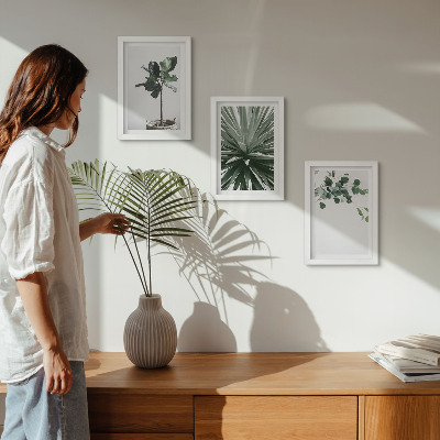 Lot de 3 tableaux Plantes vertes dans un style minimaliste