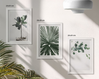 Lot de 3 tableaux Plantes vertes dans un style minimaliste