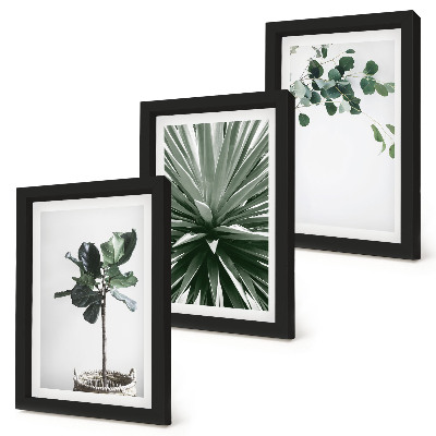 Lot de 3 tableaux Plantes vertes dans un style minimaliste