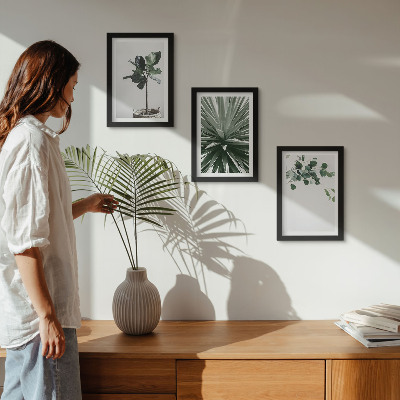 Lot de 3 tableaux Plantes vertes dans un style minimaliste