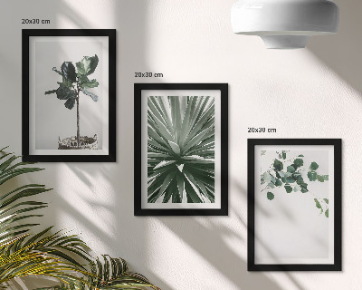 Lot de 3 tableaux Plantes vertes dans un style minimaliste