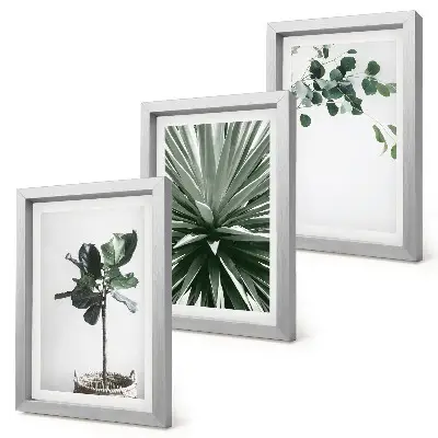 Lot de 3 tableaux plantes vertes au style minimaliste