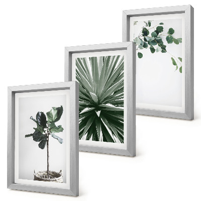 Lot de 3 tableaux Plantes vertes dans un style minimaliste