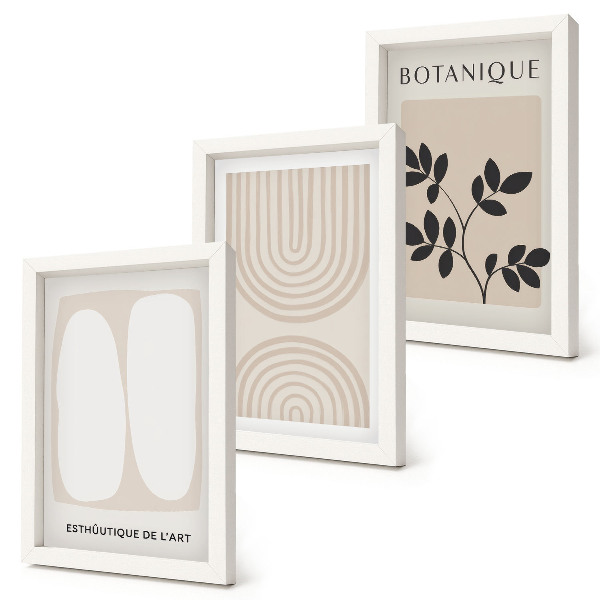 Lot de 3 tableaux Affiches bohèmes délicates à motifs végétaux abstraits