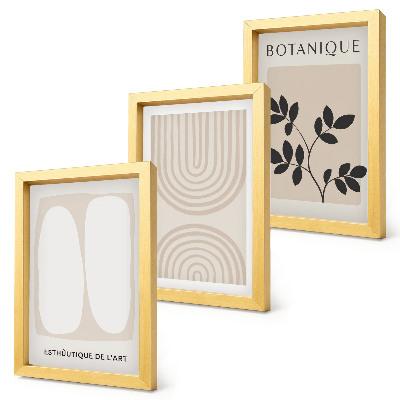 Lot de 3 tableaux Affiches bohèmes délicates à motifs végétaux abstraits