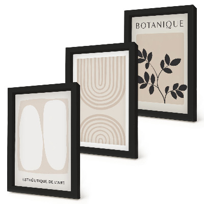 Lot de 3 tableaux Affiches bohèmes délicates à motifs végétaux abstraits