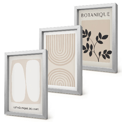 Lot de 3 tableaux Affiches bohèmes délicates à motifs végétaux abstraits
