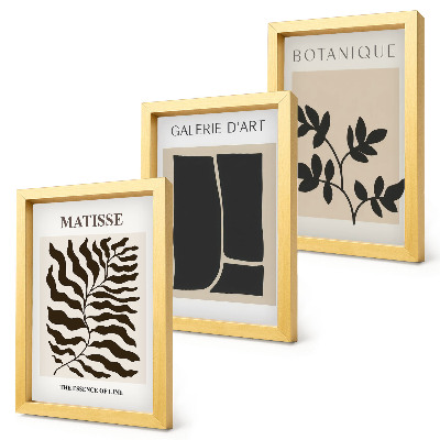 Lot de 3 tableaux Affiches minimalistes avec des motifs végétaux et des abstractions