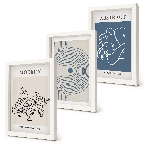 Lot de 3 tableaux Affiches de fleurs, lignes et formes abstraites