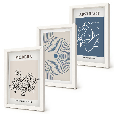 Lot de 3 tableaux Affiches de fleurs, lignes et formes abstraites