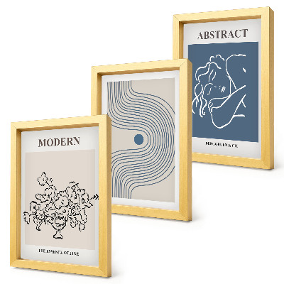 Lot de 3 tableaux Affiches de fleurs, lignes et formes abstraites